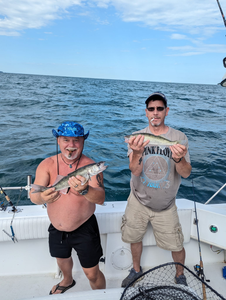 Two walleye fish caught by two people in Port Clinton