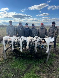 Six people enjoying outdoor activities in Fairfield