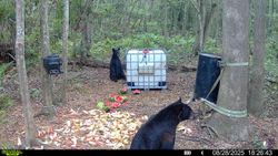 Breathtaking landscape in Fairfield