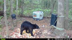 One fishing adventure in NC