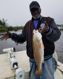 Redfish caught in Fairfield