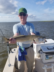 Spotted Weakfish, 20 inches long, caught in Fairfield