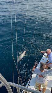 Angler fishing in Belmar