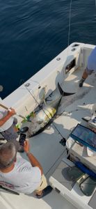 Angler fishing in Belmar