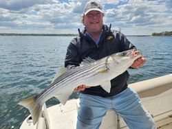Striped bass caught in Belmar