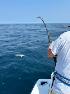 Fishing at Belmar