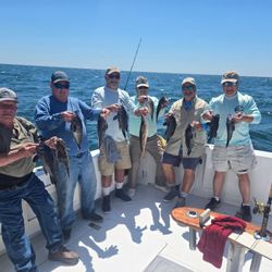 Fishing group of 6 people catching 7 fish at Belmar