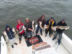5 striped bass fish caught in NJ