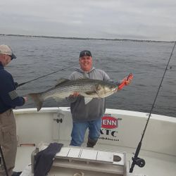 Striped bass caught while fishing in NJ