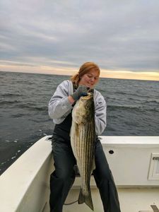 Striped bass caught in NJ