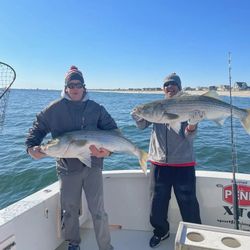 Two striped bass caught in NJ