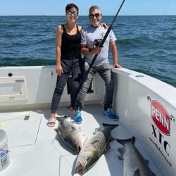 Three striped bass caught while fishing in Belmar