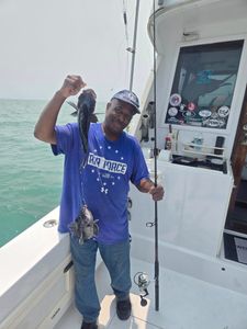 Two sea bass, fishing in Belmar