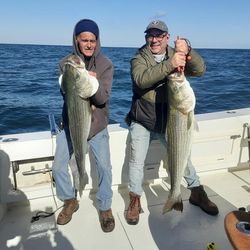 Two striped bass caught on a fishing trip in New Jersey