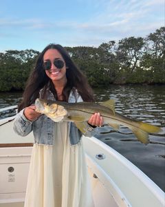 Radiant Snook | snook, inshore, Florida, fishing, 