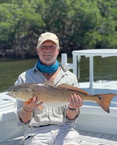Redfish fishing in St. Petersburg, Florida	