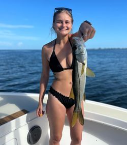 New Personal Best in Snook Fishing Florida