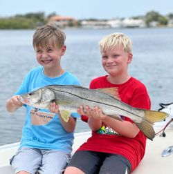 Snook fishing in St. Petersburg