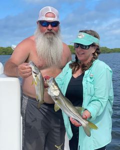 Two snook fish caught during a fishing trip in St. Petersburg