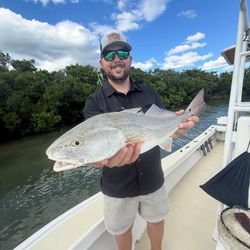 Redfish catch in Florida
