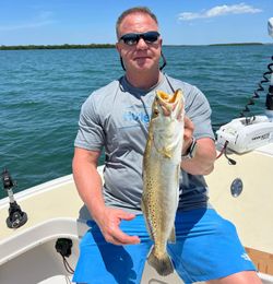 Spotted weakfish, 20 inches, caught fishing in St. Petersburg