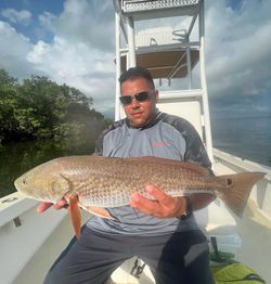 Redfish caught in FL