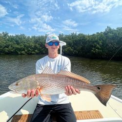 Redfish caught in St. Petersburg