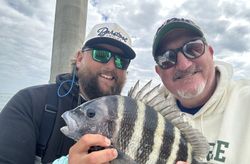 Successful sheepshead fishing catch in St. Petersburg FL waters