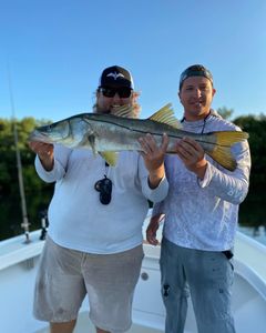 Snook fish caught while fishing in St. Petersburg