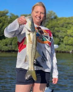 Snook fish caught in St. Petersburg