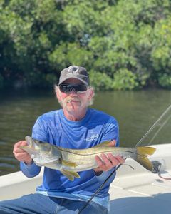 Snook fish caught in St. Petersburg