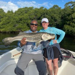 Snook fish caught while fishing in St. Petersburg