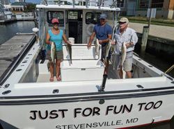 Chesapeake Bay Fishing Guide