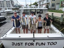 Anglers Caught Striped Bass in Annapolis