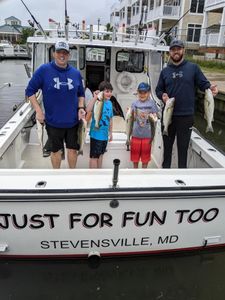 5 fishing rods in the water on the shore of MD