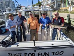 7 fish caught in MD while fishing