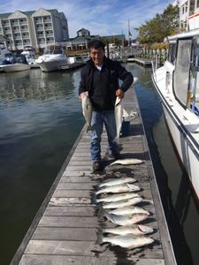 Striped Bass fishing Near Annapolis! 