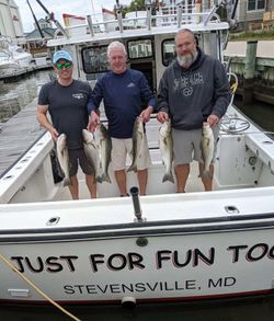 Four bluefish caught while fishing in MD