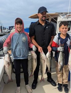 Five striped bass caught during fishing in MD