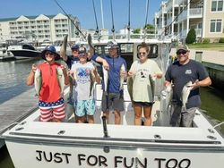 Three fish caught in Grasonville while fishing