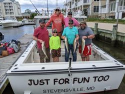 4 striped bass caught in Grasonville
