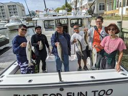 4 fish caught in MD during fishing trip