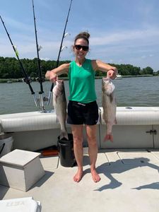 Successful Bass Fishing in Chesapeake Bay