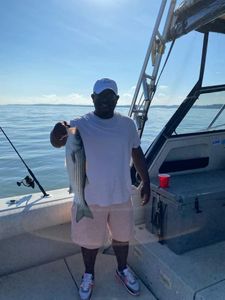 Top-notch Chesapeake Bay Striped Bass Trip