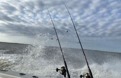 Fishing in Baltimore