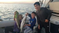 All smiles for some Stripers in Chesapeake Bay 