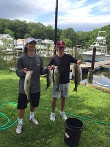 Some Striped Bass Fishing with these new anglers!