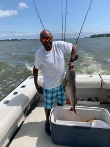 Chesapeake Bay Fishing for Catfish