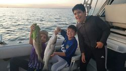 Two striped bass fish caught in MD