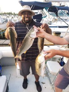 3 striped bass caught fishing in MD